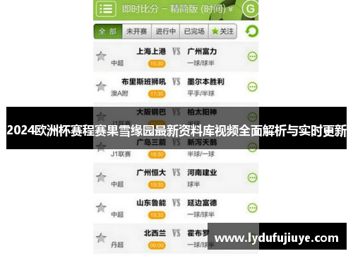 2024欧洲杯赛程赛果雪缘园最新资料库视频全面解析与实时更新