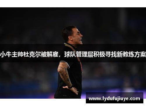 小牛主帅杜克尔被解雇，球队管理层积极寻找新教练方案