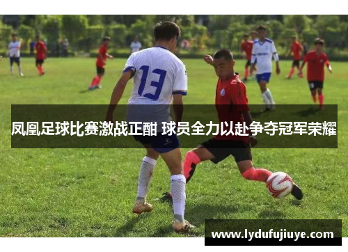 凤凰足球比赛激战正酣 球员全力以赴争夺冠军荣耀