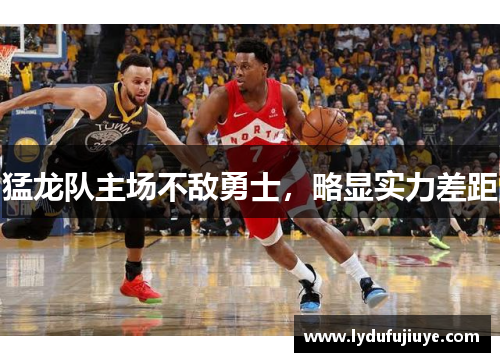 猛龙队主场不敌勇士，略显实力差距