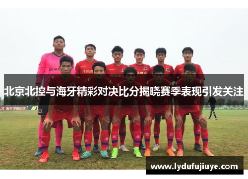 北京北控与海牙精彩对决比分揭晓赛季表现引发关注